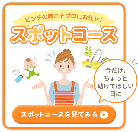 スポットコース