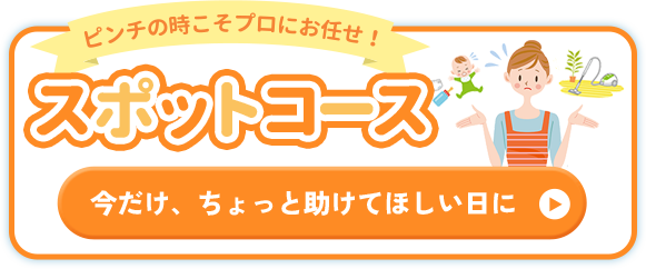 スポットコース